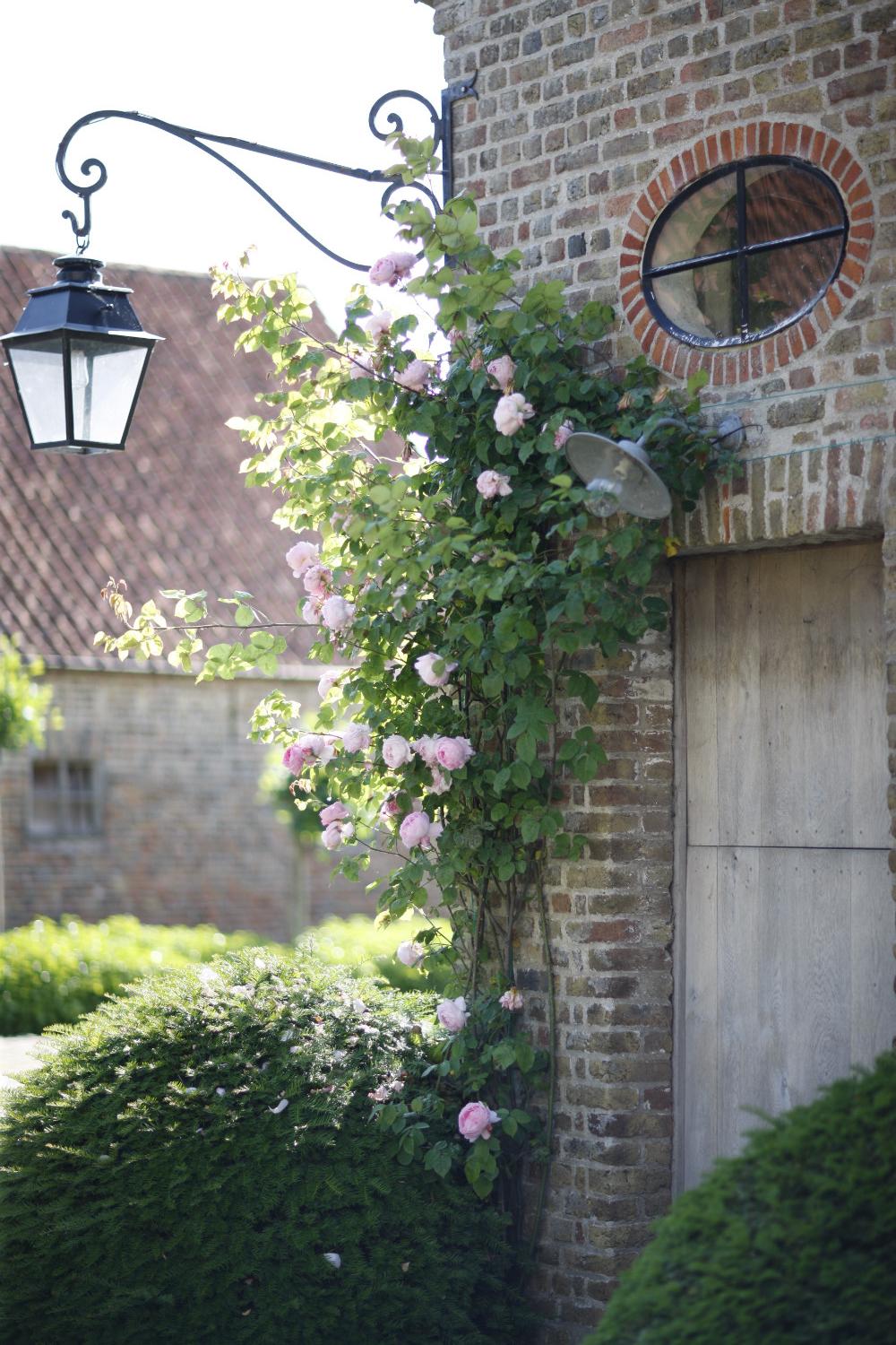 Climbing roses on old brick at The Little Monastery, a wonderful B&B near Bruges. Come enjoy photos and a tour of Belgian Design Style Inspiration from antiques dealers Alain and Brigitte Garnier.