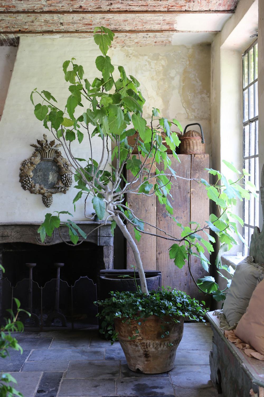 Old World design style with rustic refinery at The Little Monastery, a wonderful B&B near Bruges. Come enjoy photos and a tour of Belgian Design Style Inspiration from antiques dealers Alain and Brigitte Garnier.